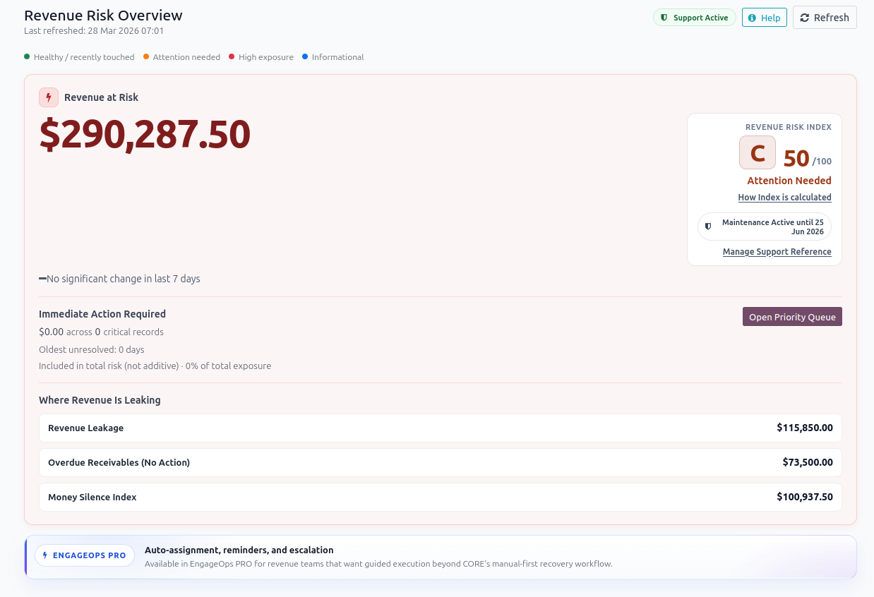 Revenue Risk Overview dashboard screenshot